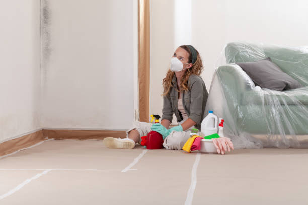 Reliable Mold Testing contractor in New Holland, PA by WQB Mold Removal